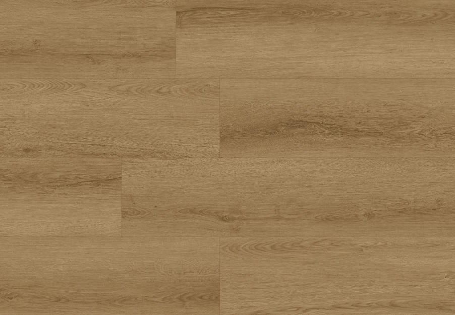 Forged- Fuzion Dynamix XL Plank 9