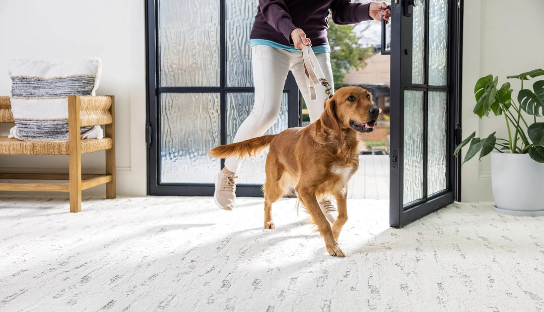 Pet-Friendly Flooring: Best Durable Options for Dog & Cat Owners