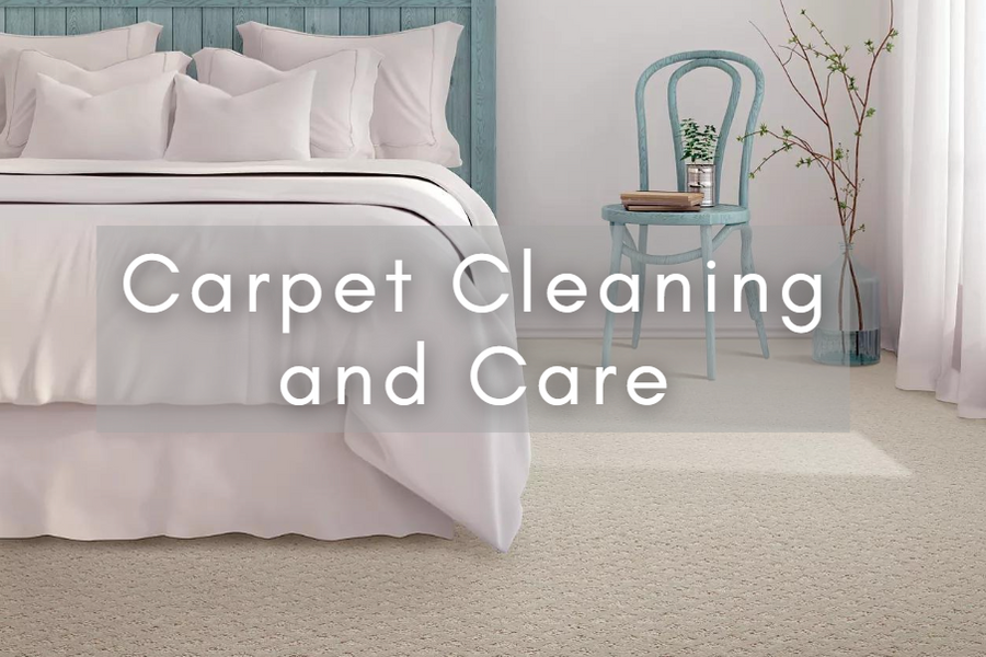 Carpet cleaning and care article