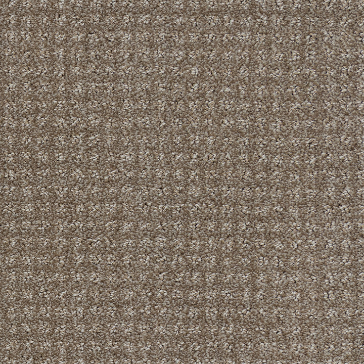 Beaulieu carpet - Garibaldi Estate - J1785