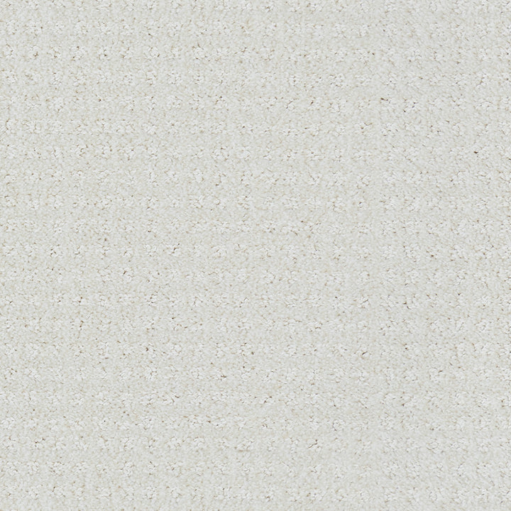 Beaulieu carpet - Garibaldi Estate - J1785