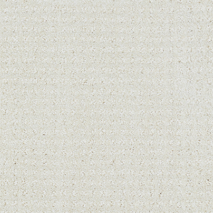 Beaulieu carpet - Garibaldi Estate - J1785