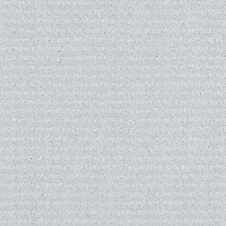 Beaulieu carpet - Garibaldi Estate - J1785