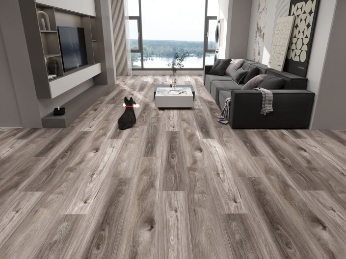 Living room with gray sofa, coffee table, and TV on a wooden floor.