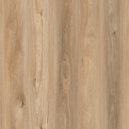 Close-up of a wooden surface with a natural finish
