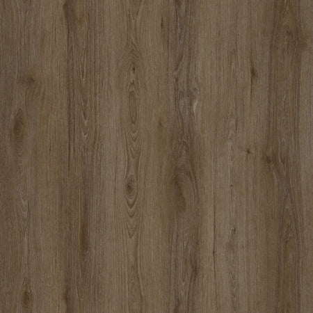 Close-up of a brown wood grain texture