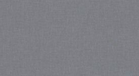 Solid gray color swatch
