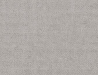 Solid light gray color swatch