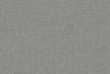 Solid gray color swatch