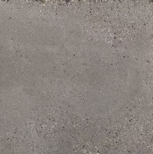 A close-up image of a rectangular porcelain tile with a matte finish, exhibiting a gray color, likely intended for indoor use.