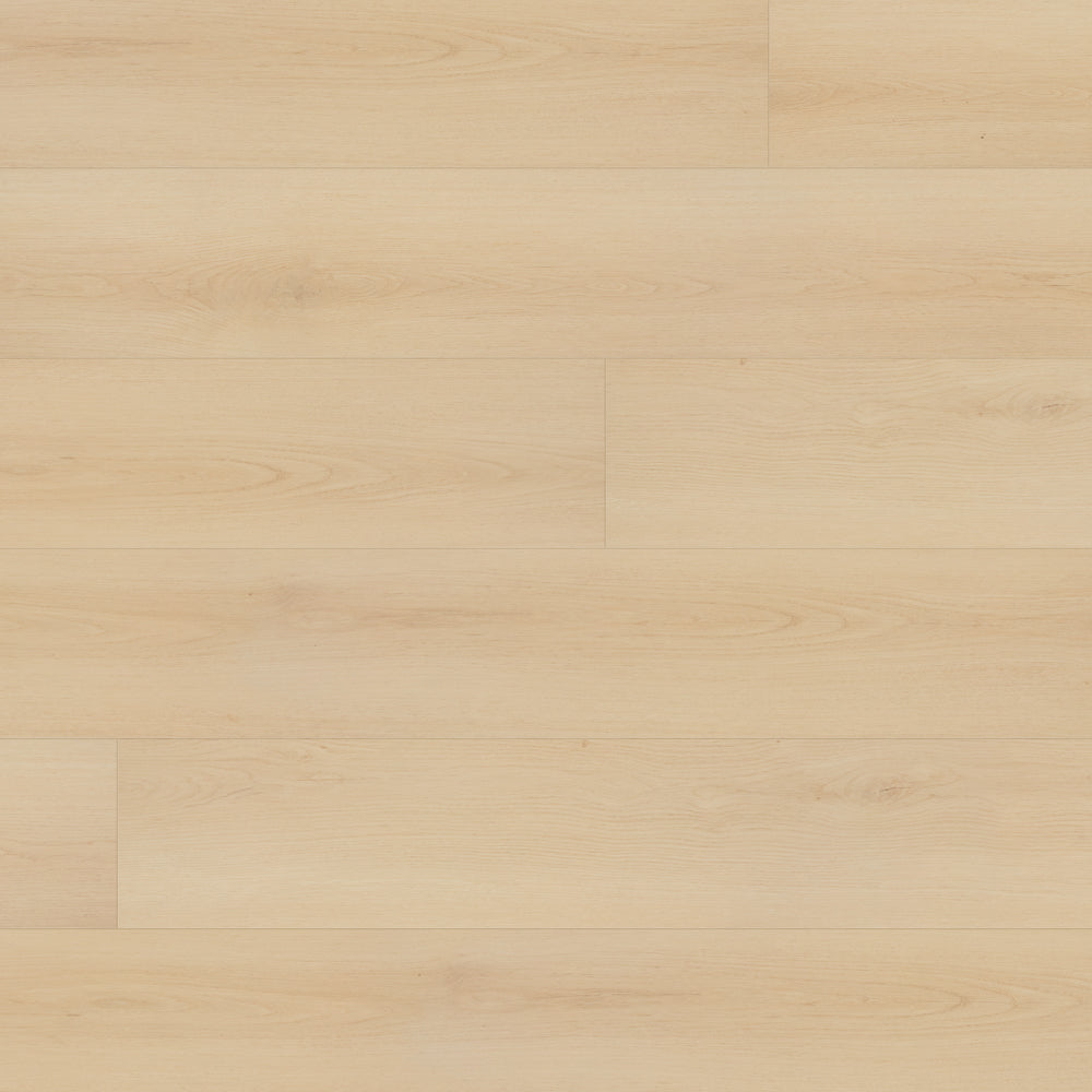 Close-up of Beaulieu SPC vinyl flooring in Cape Hope 2322 color. Completely 100% waterproof, pet-friendly, and highly stain-resistant. Available at Advanced Flooring Waterloo. 