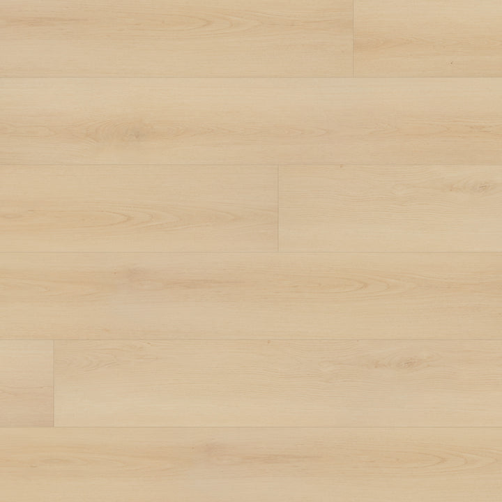 Close-up of Beaulieu SPC vinyl flooring in Cape Hope 2322 color. Completely 100% waterproof, pet-friendly, and highly stain-resistant. Available at Advanced Flooring Waterloo. 