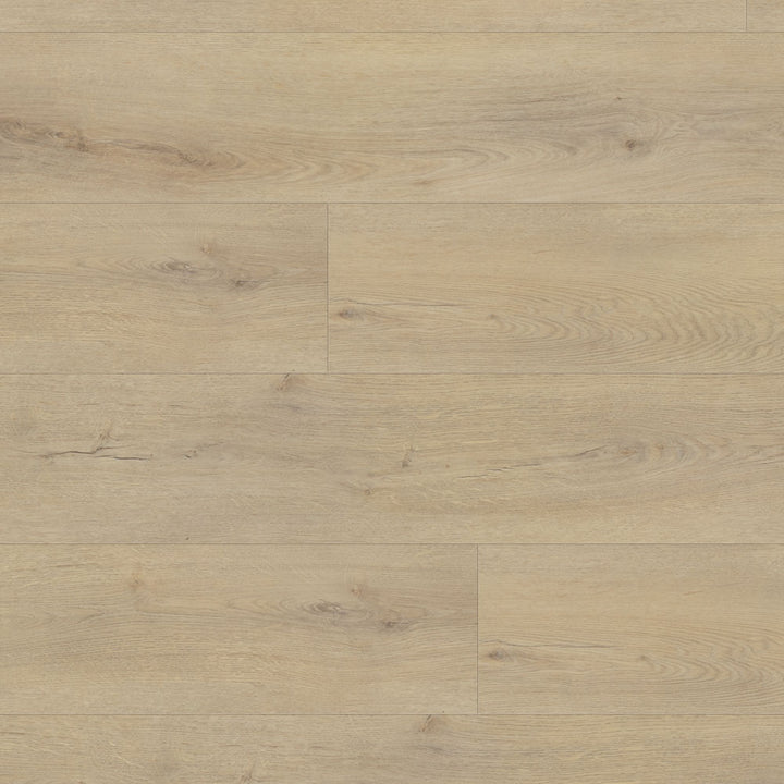 Close-up of Gingko 6051 Beaulieu 8.5mm WPC vinyl flooring. Completely 100% waterproof, pet-friendly, and highly stain-resistant. Available at Advanced Flooring Waterloo. 