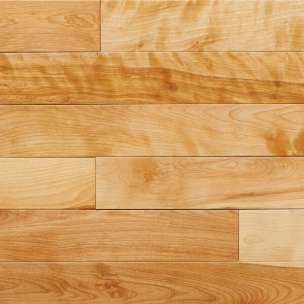 Natural - Mont Royal - Tradition - 3/4" Birch Solid Hardwood