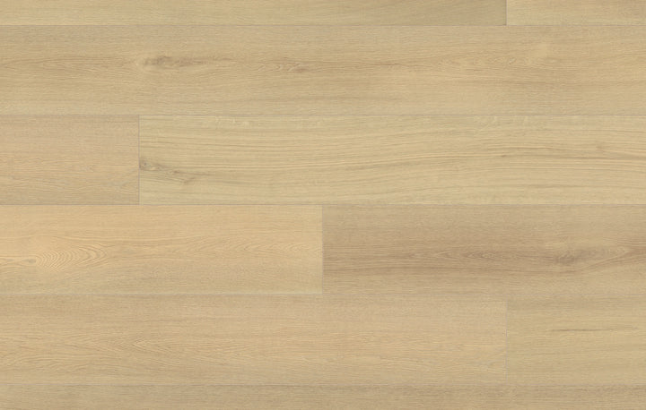 Blonde Forest - Fuzion Laminate 12mm Bavaria Collection