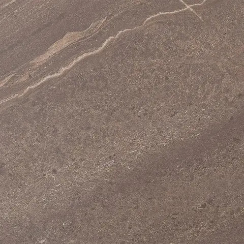 Close-up of a brown stone surface with visible texture and veins.