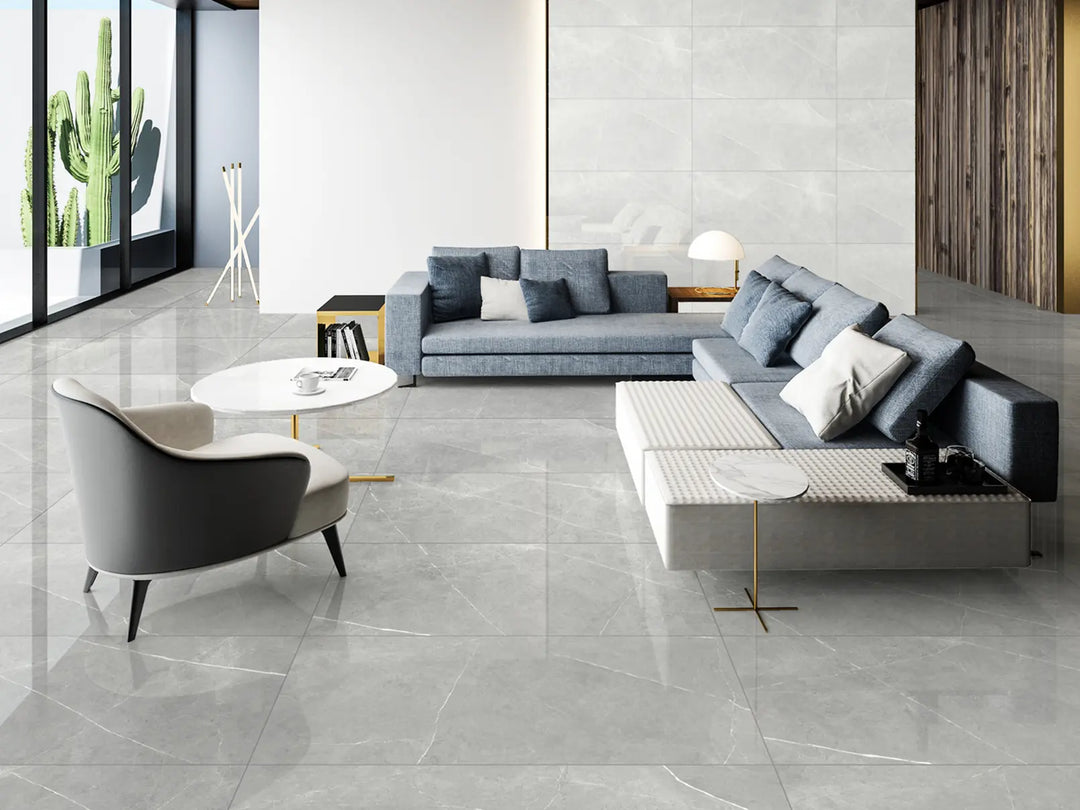 Modern living room with gray sofa, coffee table, and decorative elements.