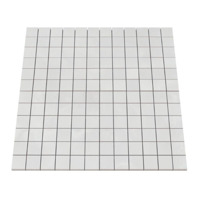 Ceratec Serena tile flooring 2x2 porcelain tiles with matte/polished finish, available at Advanced Flooring Waterloo with Canada-wide delivery.