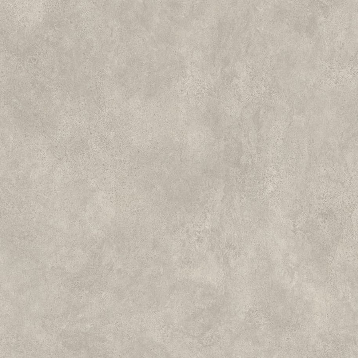 Solid light gray color swatch