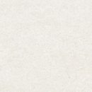 1867 Tile - Glazed Porcelain Coral Stone Collection