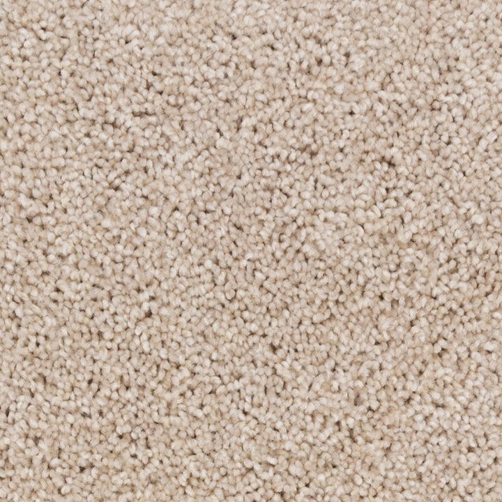 Beaulieu carpet - Peak Point #A4825