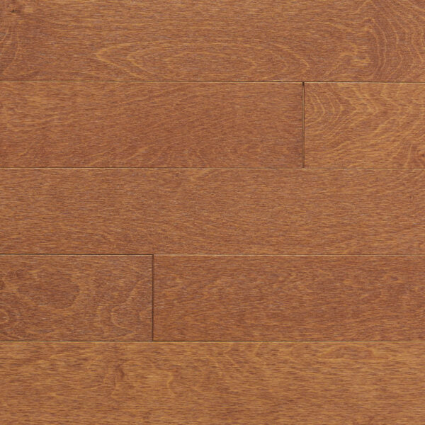 Pioneer - Mont Royal - Tradition - 3/4" Birch Solid Hardwood