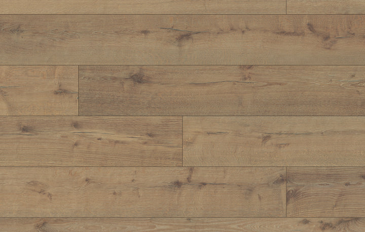 Iron Gate - Fuzion Laminate 12mm Bavaria Collection
