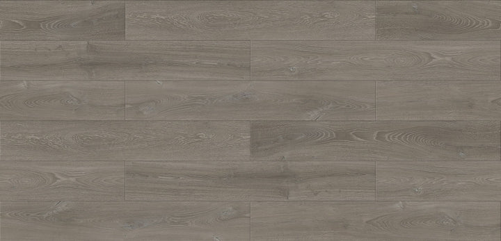 LV223 Volga - Lavo Floors 12mm Vizion Laminate Essential Series