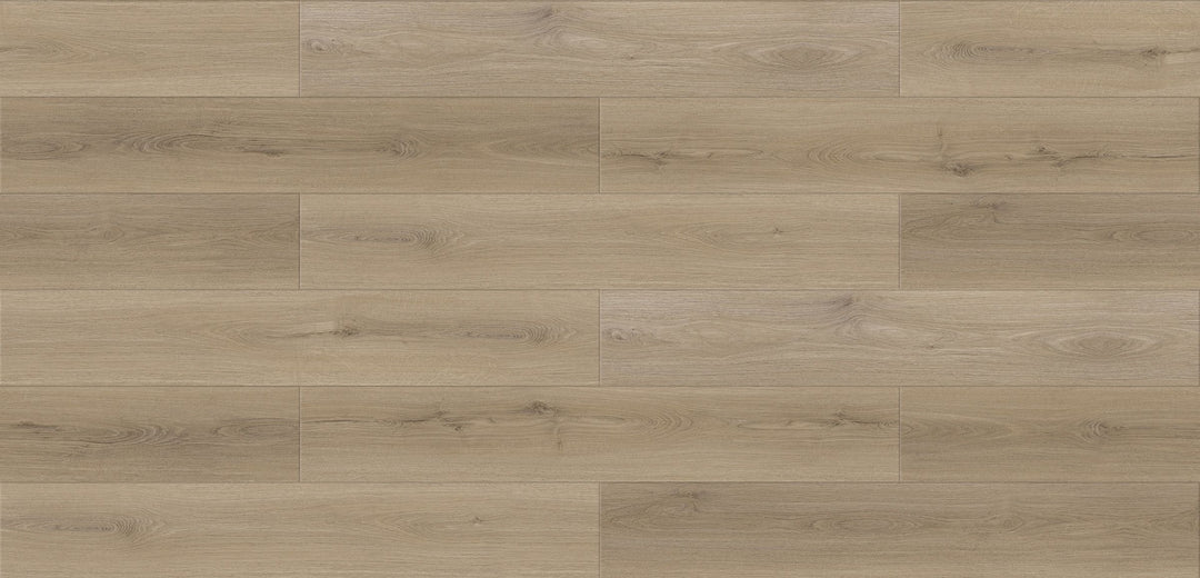LV227 Congo - Lavo Floors 12mm Vizion Laminate Essential Series
