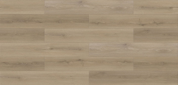 LV227 Congo - Lavo Floors 12mm Vizion Laminate Essential Series