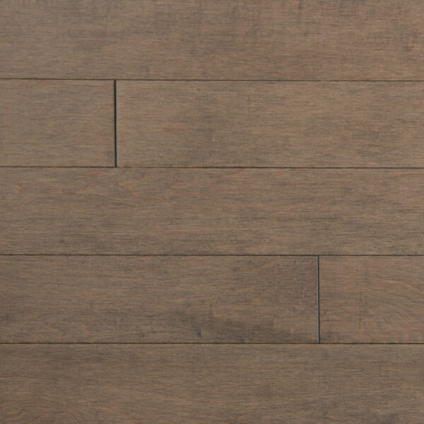 Amarula - Mont Royal - Tradition - 3/4" Maple Solid Hardwood