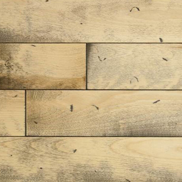 Champagne - Mont Royal - Coastal - 3/4" Maple Solid Hardwood