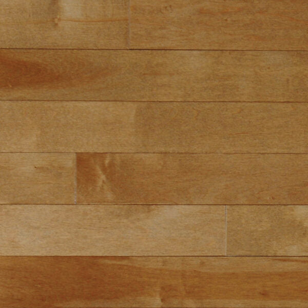 Pioneer - Mont Royal - Tradition - 3/4" Maple Solid Hardwood
