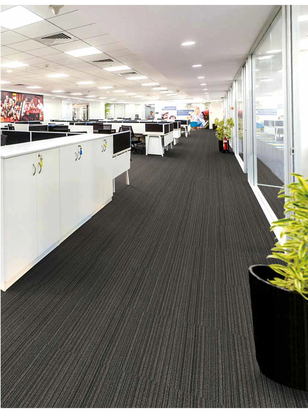 Office hallway with desks and a plant on a white background
