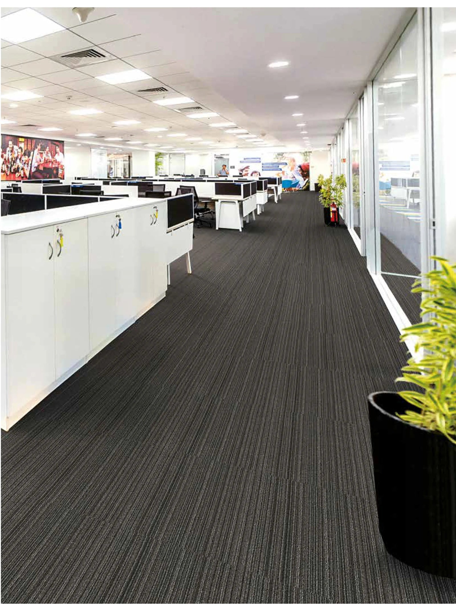 Office hallway with desks and a plant on a white background
