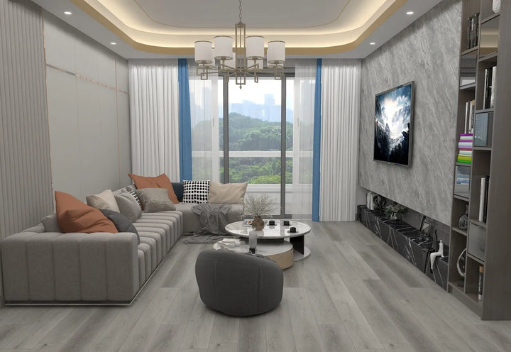 Modern living room with gray sofa, coffee table, and TV.