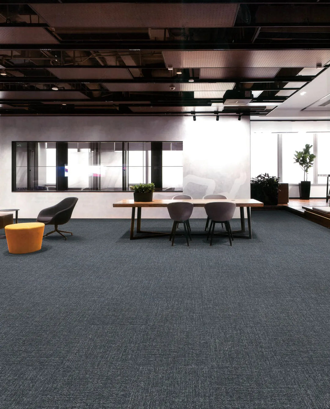 Modern office space with a long table and chairs, featuring a blue carpet.