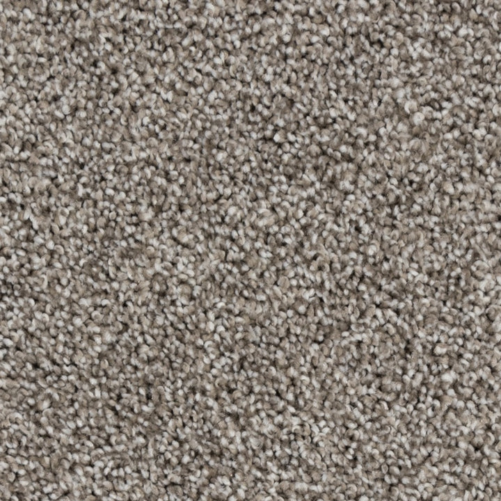 Beaulieu carpet - Peak Point #A4825