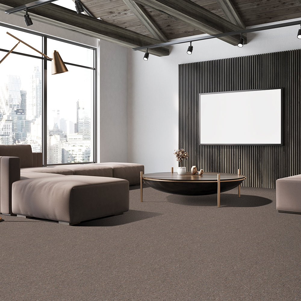 Beaulieu carpet with plush texture and stain-resistant fibers, ideal for cozy, low-maintenance living spaces.