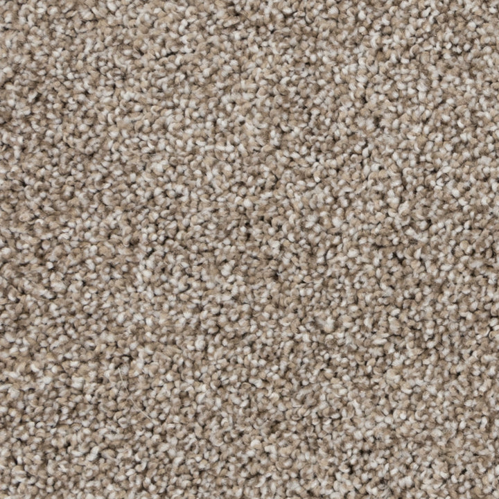 Beaulieu carpet - Peak Point #A4825