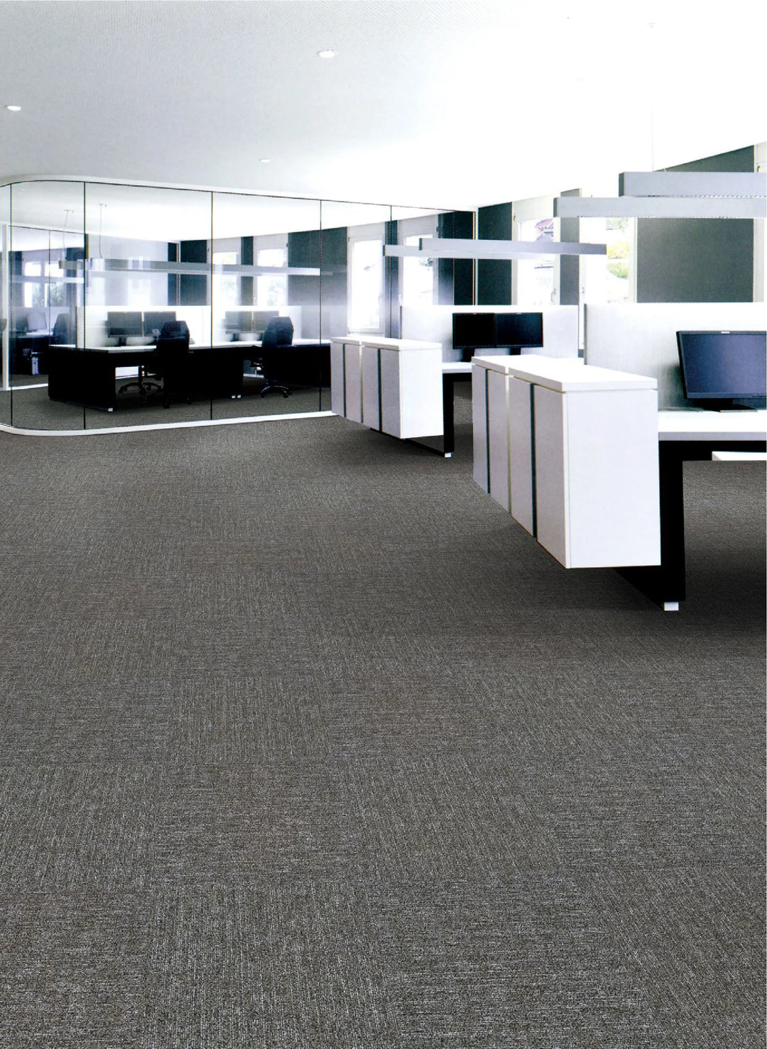 Modern office interior with glass partitions and gray carpet