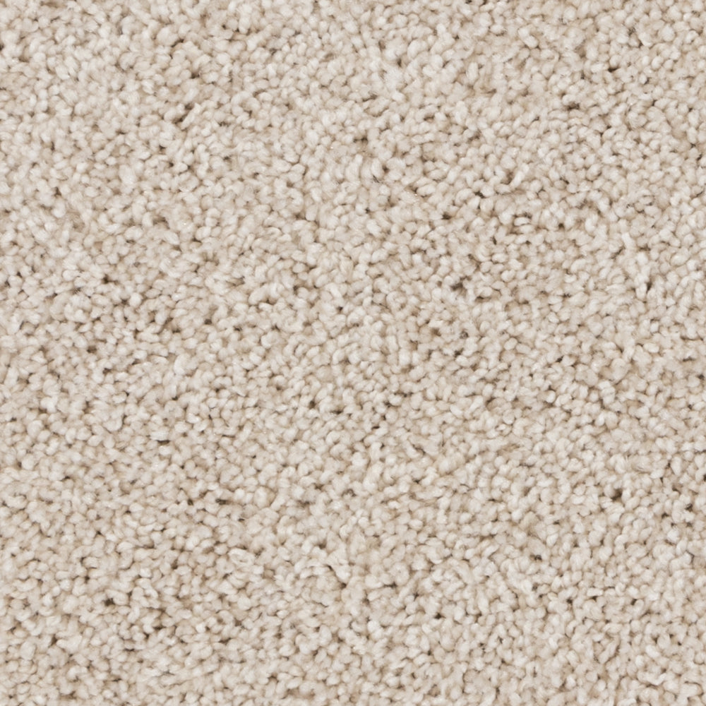 Close-up of Beaulieu's Beige Clay carpet from Tryesse Pro collection.