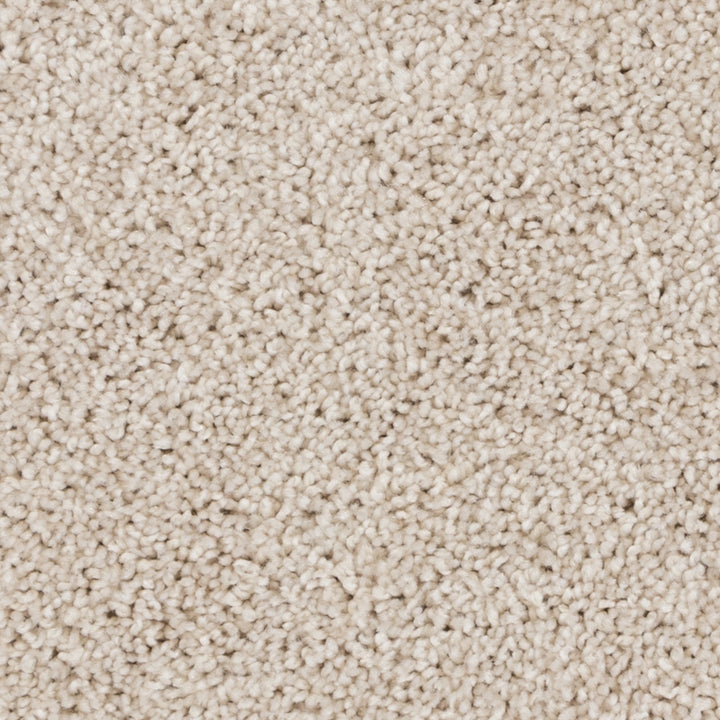 Close-up of Beaulieu's Beige Clay carpet from Tryesse Pro collection.