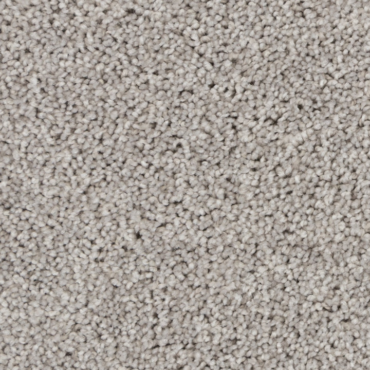 Close-up of Beaulieu's Black Ice carpet from Tryesse Pro collection.