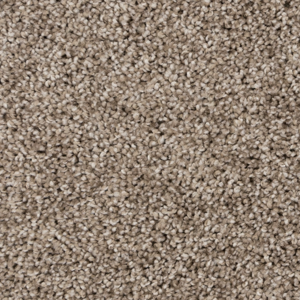 Close-up of Beaulieu's Burnt Leaf carpet from Tryesse Pro collection.