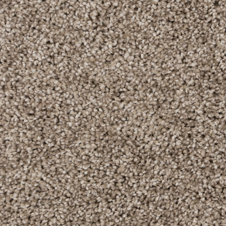 Close-up of Beaulieu's Burnt Leaf carpet from Tryesse Pro collection.