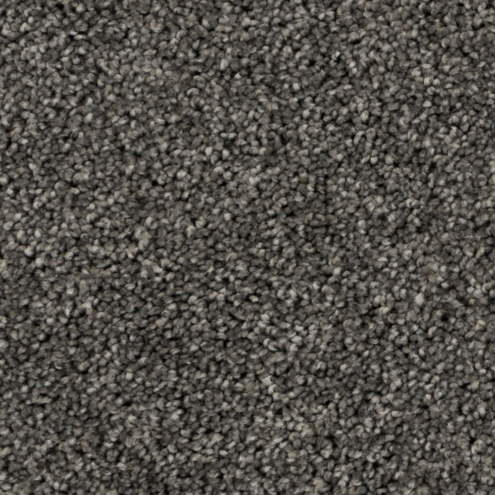 Close-up of Beaulieu's Haze On the Town carpet from Tryesse Pro collection. 