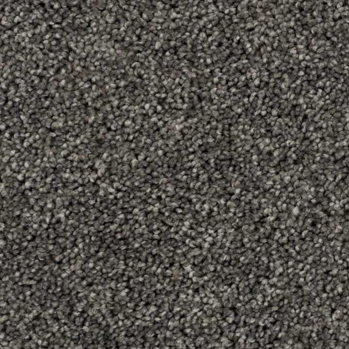 Close-up of Beaulieu's Haze On the Town carpet from Tryesse Pro collection. 