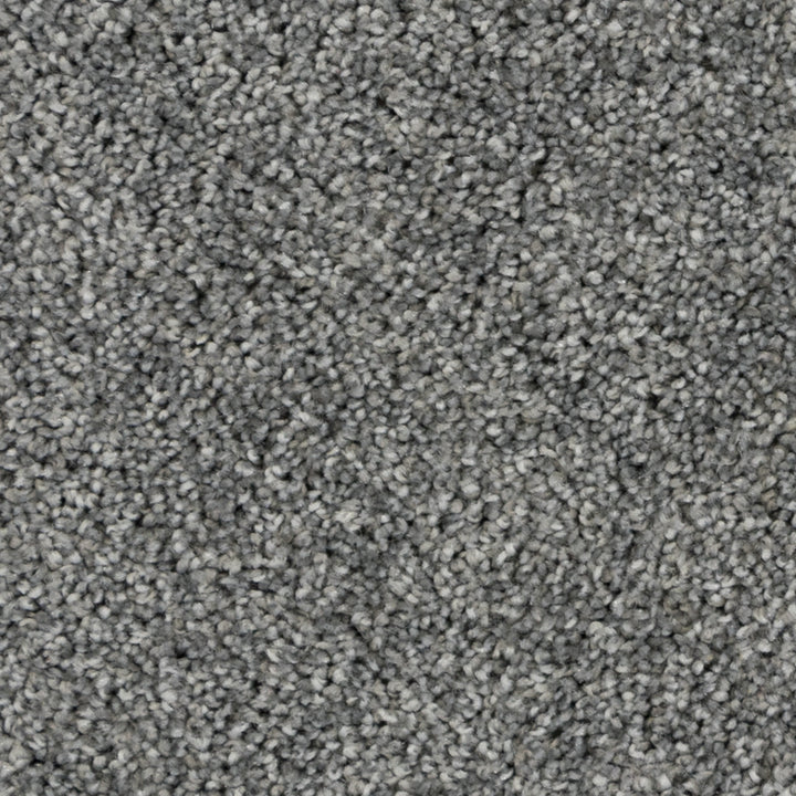 Close-up of Beaulieu's Morning Light carpet from Tryesse Pro collection. 