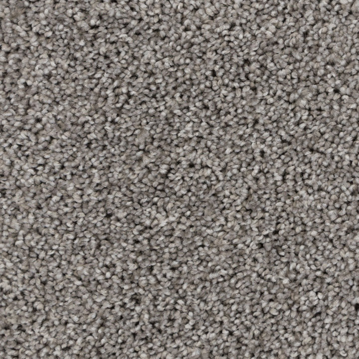 Close-up of Beaulieu's Warm Grey carpet from Tryesse Pro collection. 